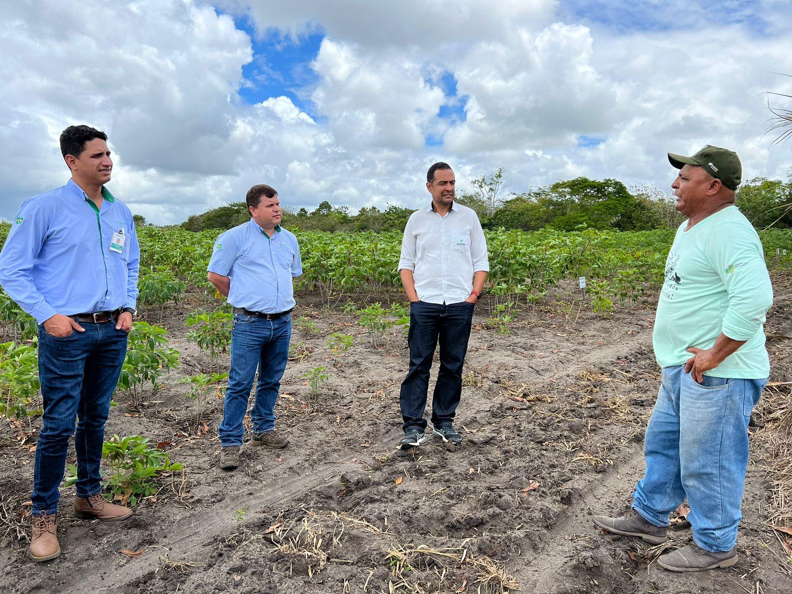 Cooperativa do Mato Grosso do Sul visita atividades do PAT da Mandiocultura no Extremo Sul da Bahia